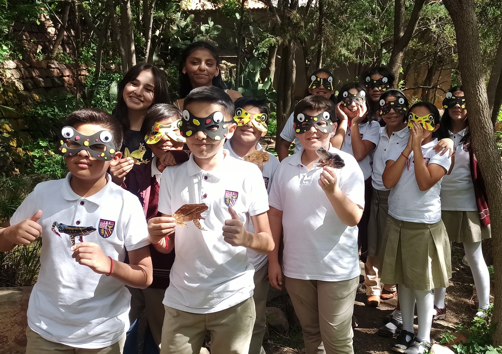 Curso
